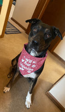 Load image into Gallery viewer, Dog Bandanas Personalized - Knot In Your House