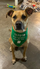 Load image into Gallery viewer, Dog Bandanas Personalized - Knot In Your House