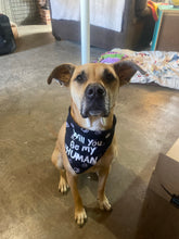 Load image into Gallery viewer, Dog Bandanas Personalized - Knot In Your House