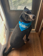Load image into Gallery viewer, Dog Bandanas Personalized - Knot In Your House