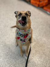 Load image into Gallery viewer, Dog Bandanas Personalized - Knot In Your House