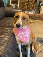 Load image into Gallery viewer, Dog Bandanas Personalized - Knot In Your House