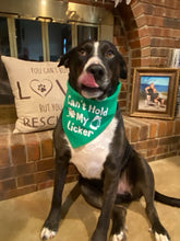 Load image into Gallery viewer, Dog Bandanas Personalized - Knot In Your House