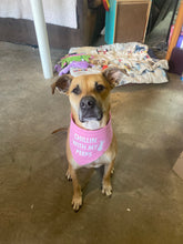 Load image into Gallery viewer, Dog Bandanas Personalized - Knot In Your House