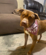 Load image into Gallery viewer, Dog Bandanas Personalized - Knot In Your House