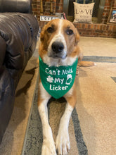 Load image into Gallery viewer, Dog Bandanas Personalized - Knot In Your House