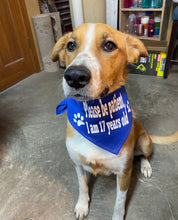 Load image into Gallery viewer, Dog Bandanas Personalized - Knot In Your House
