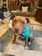 Load image into Gallery viewer, Dog Bandanas Personalized - Knot In Your House