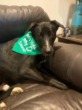 Load image into Gallery viewer, Dog Bandanas Personalized - Knot In Your House