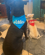 Load image into Gallery viewer, Dog Bandanas Personalized - Knot In Your House