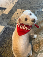 Load image into Gallery viewer, Dog Bandanas Personalized - Knot In Your House