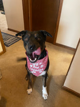 Load image into Gallery viewer, Dog Bandanas Personalized - Knot In Your House