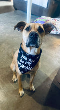 Load image into Gallery viewer, Dog Bandanas Personalized - Knot In Your House