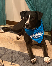 Load image into Gallery viewer, Dog Bandanas Personalized - Knot In Your House