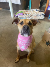 Load image into Gallery viewer, Dog Bandanas Personalized - Knot In Your House