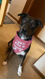 Dog Bandanas Personalized - Knot In Your House